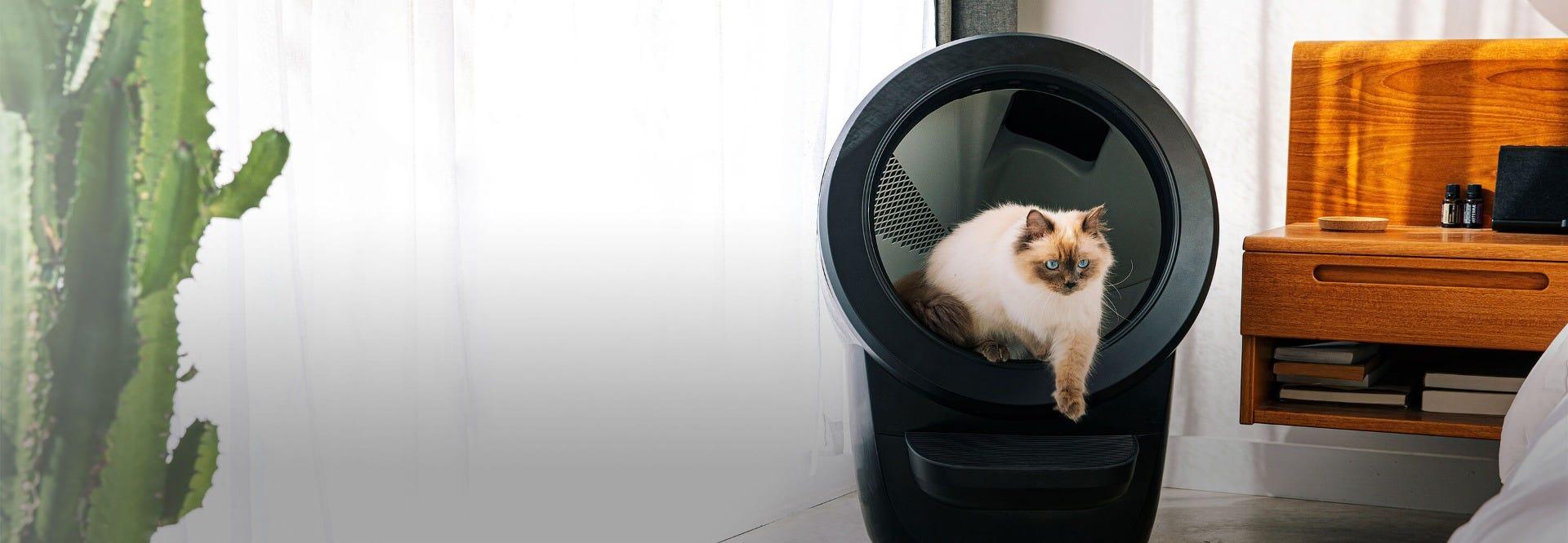 Cat exiting Litter-Robot 4