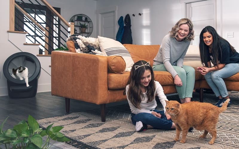 Family playing with ginger cat with Litter-Robot in the background