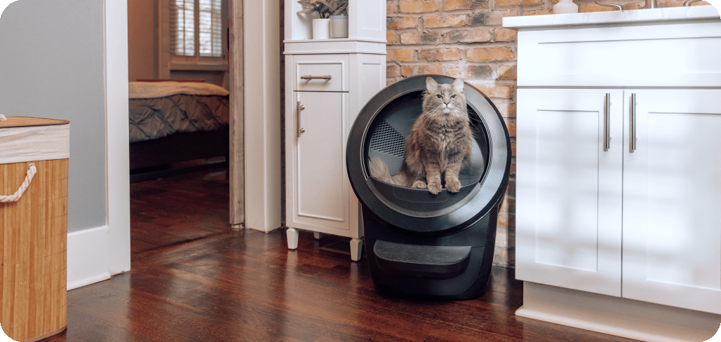 A brown cat standing in a Litter-Robot 4.