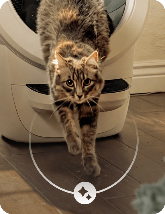 A striped cat exiting a Litter-Robot 4.
