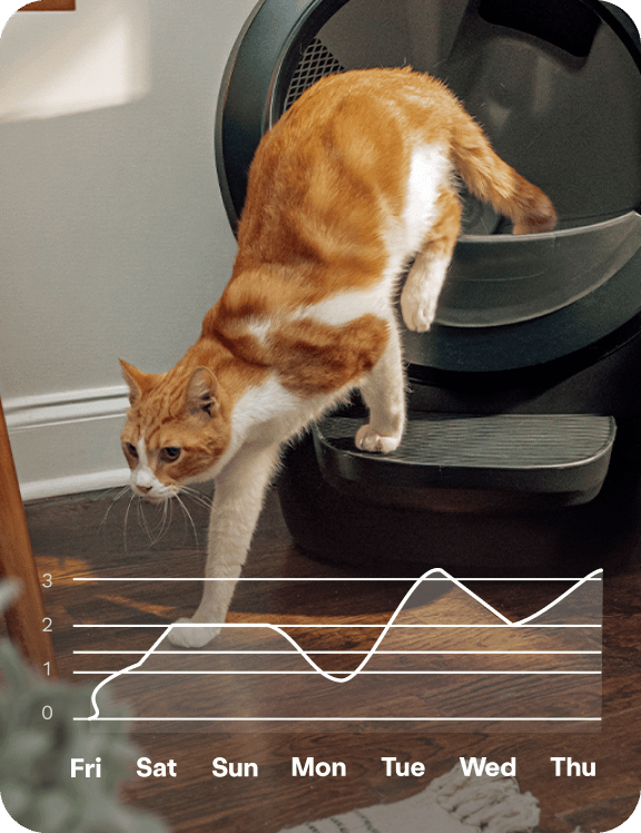 An orange cat exiting a Litter-Robot 4.